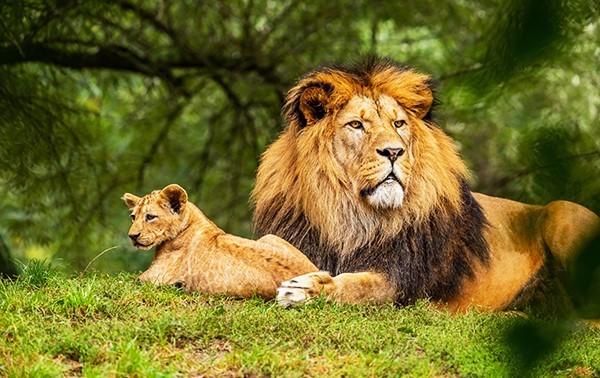 Aufbau eines starken und flexiblen IT-Fundaments